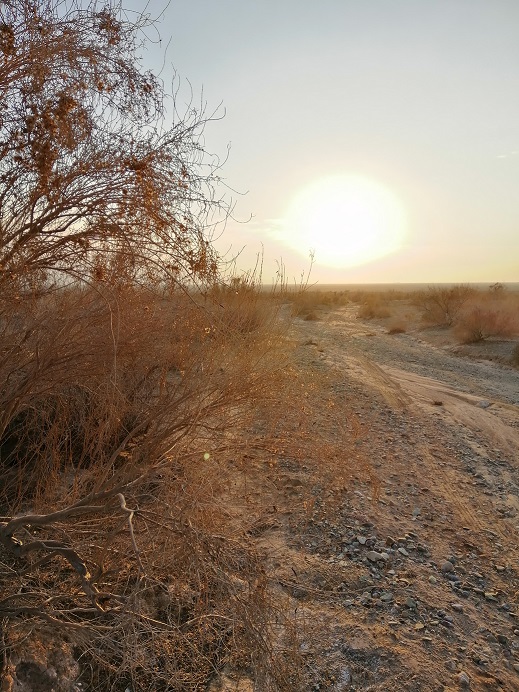 سفرنامه مکرش از پارک ملی کویر